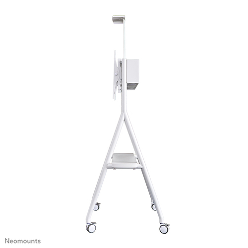 Pied pour écran Réglable en hauteur Neomounts Neomounts Pro NS-M1500WHITE - 65" (165,10 cm) - Capacité de Charge 50 kg - 2