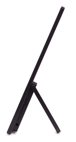 Acer PM161W 16" (40.6 cm) Class WUXGA LCD Monitor - 16:10 - Black - 16" (40.6 cm) Viewable - In-plane Switching (IPS) Tech