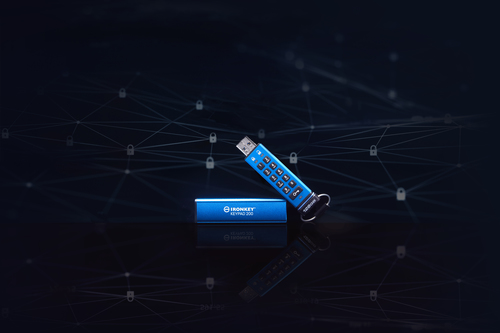 IronKey Keypad 200 IKKP200 128 GB USB 3.2 (Gen 1) Type A Flash Drive - XTS-AES - 145 MB/s Read Speed - 115 MB/s Write Speed