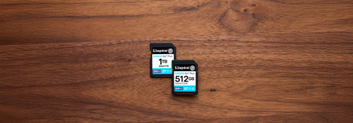 Kingston Canvas Go! Plus 1 TB SDXC - 1 - 200 MB/s Leitura - 160 MB/s Gravar