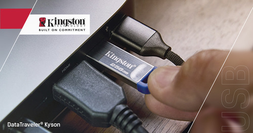 Kingston DataTraveler Kyson 256 GB USB 3.2 (Gen 1) Type A Flash Drive - 220 MB/s Read Speed