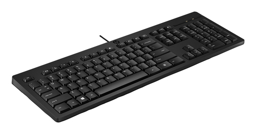 HP 125 G2 USB WD KBD FR. Keyboard form factor: Full-size (100%), Connectivity technology: Wired, Device interface: USB. Ca