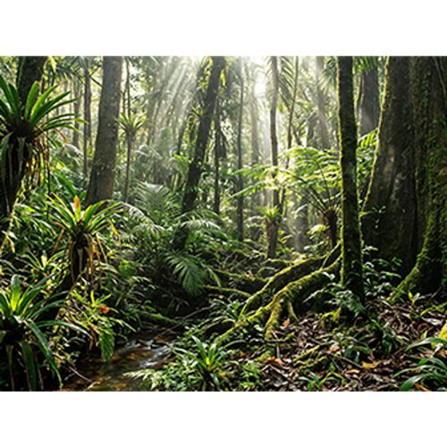 HP EliteBook X G2i 14 inch Notebook Next Gen AI PC Wolf Pro Security Edition. Product type: Laptop, Form factor: Clamshell