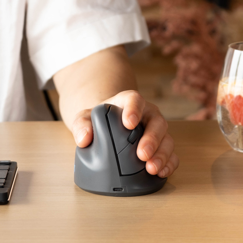 R-GO ERGONOMIC MOUSE HE BASIC M EDIUM WIRELESS
