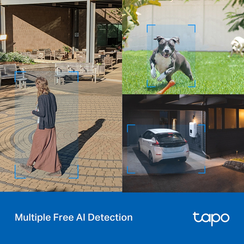 Tapo C520WS 4 Megapixel Outdoor 2K Network Camera - Colour - 29.87 m Colour Night Vision - H.264 - 2560 x 1440 - 30 fps - 