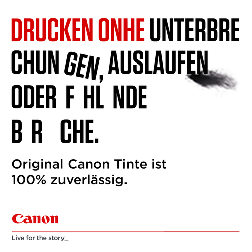 Canon PG-540Lx2/CL-541XL Tintenstrahl Tintenpatrone - Mehrfachpacker Pack