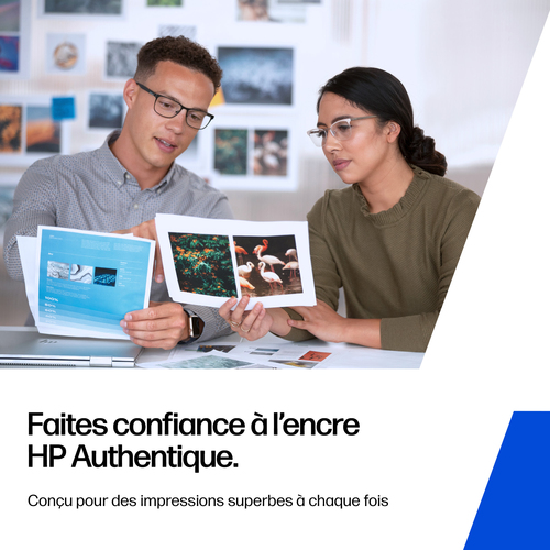 Cartouche jet d'encre D'origine HP 304XL Jet d'encre - Noir - Jet d'encre