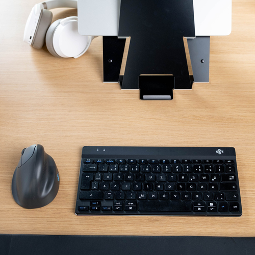 R-GO ERGONOMIC MOUSE HE BASIC M EDIUM WIRELESS