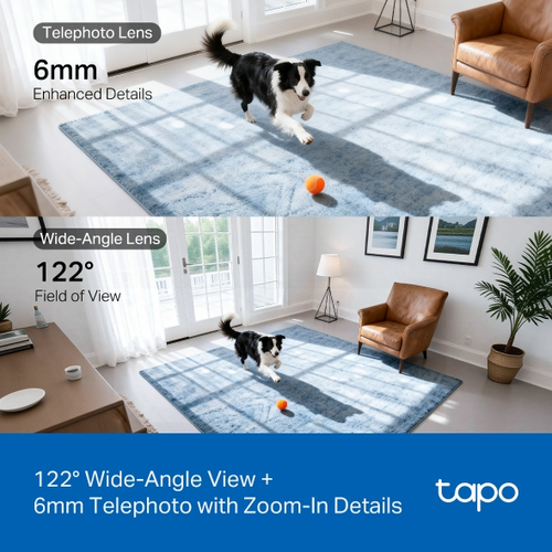 TP-Link Tapo C245D. Tipo: Telecamera di sicurezza IP, Posizionamento supportato: Interno, Tecnologia di connessione: Wirel