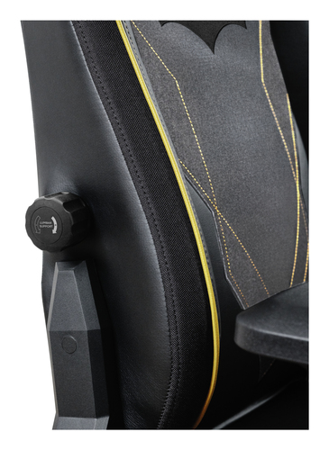 Trust 25787. Produkttyp: PC-Gamingstuhl, Maximales Nutzergewicht: 150 kg, Sitztyp: Gepolsterter Sitz. Breite: 710 mm, Tief