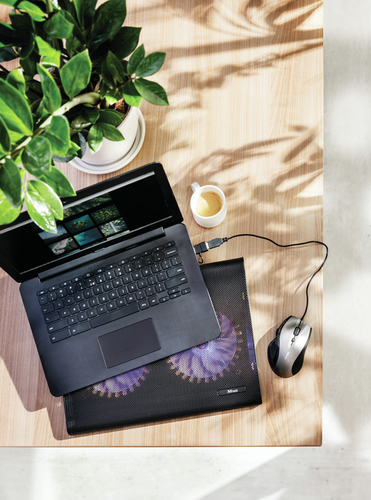 Trust Cooling Stand - 2 Fan(s) - Metal