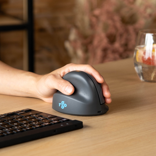 R-GO ERGONOMIC MOUSE HE BASIC M EDIUM WIRELESS
