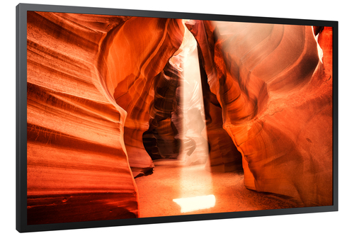 Samsung OM55N-S 1397 mm LCD Digital Signage Display - 1920 x 1080 - 4000 cd/m² - 1080p - USB - HDMI - Serial - Wireless LA
