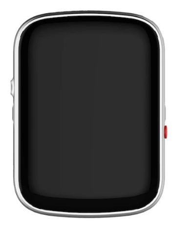 Carneo 8588009299639. Purpose: PET, Product type: GPS tracker, Product colour: Black, Silver. Battery life (max): 120 h, B