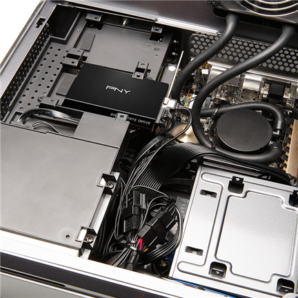 PNY Solid State-Laufwerk - 2,5" Intern - 250 GB - SATA (SATA/600) - MAC Unterstütztes Gerät - 535 MB/s Maximale Lesegeschw