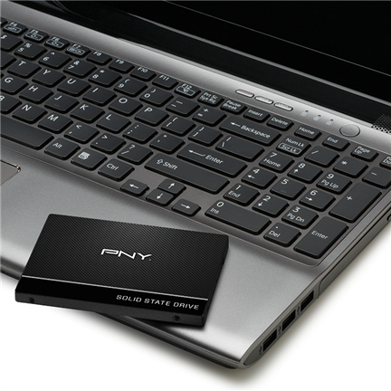 PNY Solid State-Laufwerk - 2,5" Intern - 250 GB - SATA (SATA/600) - MAC Unterstütztes Gerät - 535 MB/s Maximale Lesegeschw