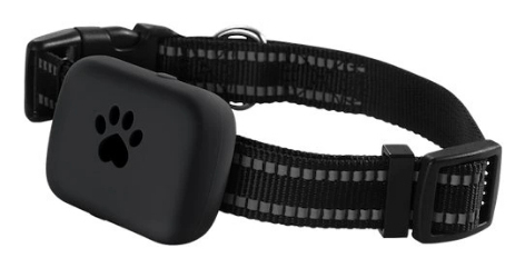 Carneo 8588009299639. Purpose: PET, Product type: GPS tracker, Product colour: Black, Silver. Battery life (max): 120 h, B