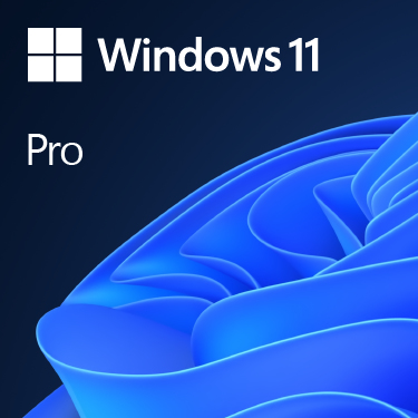 WINDOWS 11 PRO 64-BIT 1PK DVD GERMAN