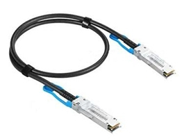 Extreme Networks 50 cm QSFP28 Network Cable for Network Device - First End: QSFP28 Network - 100 Gbit/s