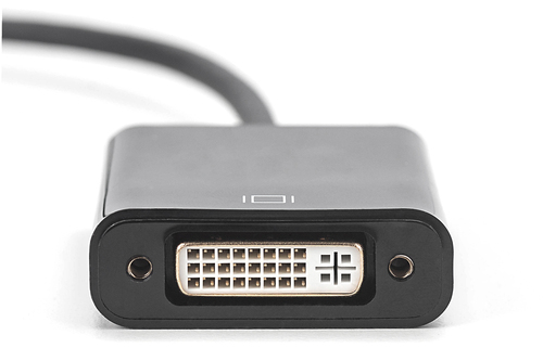 Digitus 15 cm DisplayPort/DVI-I Videokabel für Videogerät, HDTV, TV, Projektor, Monitor, Notebook, PC - 1 Stück - Zweiter 