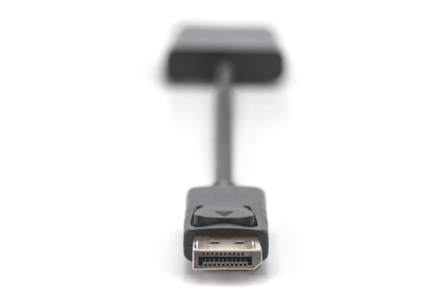 Digitus 15 cm DisplayPort/DVI-I Videokabel für Videogerät, HDTV, TV, Projektor, Monitor, Notebook, PC - 1 Stück - Zweiter 