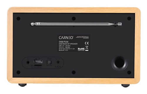 Carneo P530. Radio type: Personal, Supported radio bands: DAB+, FM, DAB, FM band range: 87.5 - 108 MHz. RMS rated power: 3