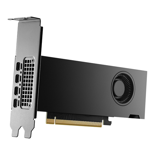 PNY NVIDIA RTX 2000 Ada Grafikkarte - 16 GB GDDR6 - Low Profile - 7680 x 4320 - 128 Bit Busbreite - PCI Express 4.0 x8 - D