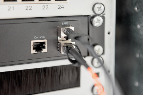 DIGITUS Professional 2 m Zweiadrig Netzwerkkabel für Netzwerkgerät - 1 - Zweiter Anschluss: 1 x SFP+ Network - Male - 10,5