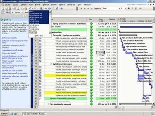 Microsoft Office Project Standard Standard Standard - Licence et assurance logiciel - Volume - PC