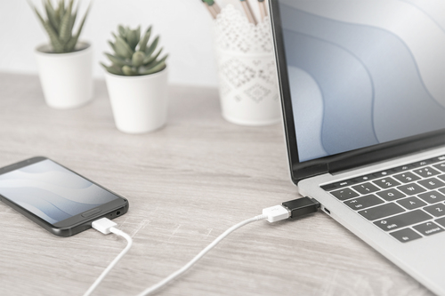 Assmann Datentransferadapter - Schwarz