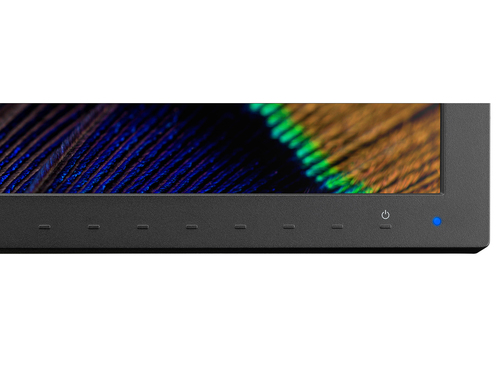 PA311D BK 31IN IPS 4096X2160 1000:1 350CD/QM IPS