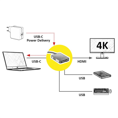 Roline USB-Typ C Docking Station für Desktop-PC, Notebook, TV, Monitor, Projektor, Tastatur, Maus, Solid State-Laufwerk, F