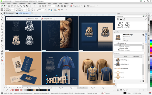 Corel CorelDRAW Graphics Suite 2021 - Licence - 1 Utilisateur - Available via Électronique - PC