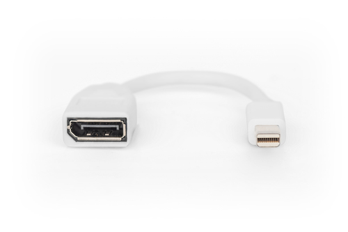Digitus 15 cm DisplayPort/Mini DisplayPort AV-Kabel für Audio-/Video-Gerät, Monitor, LCD-Monitor, Notebook, Computer, Spie