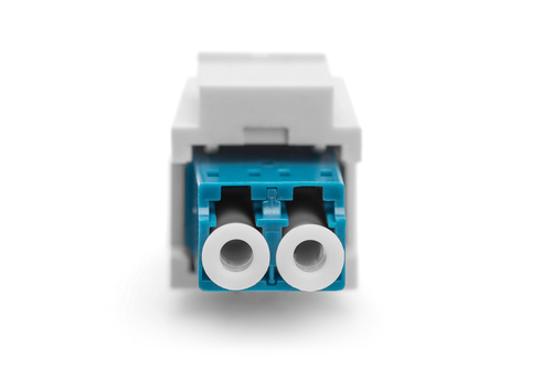 Digitus Netzwerkadapter - 1 - Blau