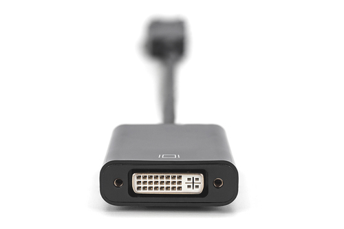 Digitus 15 cm DisplayPort/DVI-I Videokabel für Videogerät, HDTV, TV, Projektor, Monitor, Notebook, PC - 1 Stück - Zweiter 