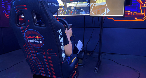 Playseat Evolution PRO Red Bull Racing Esports. Product type: Universal gaming chair, Maximum user weight: 122 kg, Seat ty