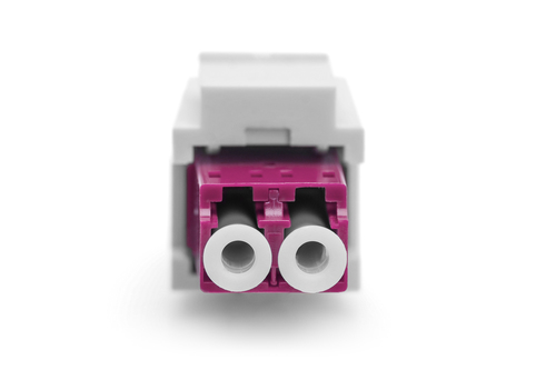 Digitus Netzwerkadapter - 1 - Violett