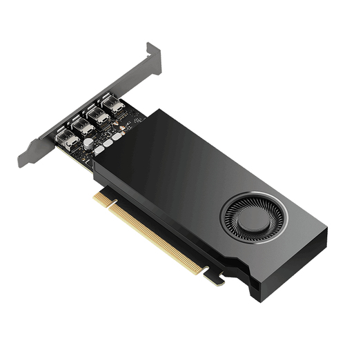 PNY NVIDIA Quadro RTX 2000E Ada Grafikkarte - 16 GB - Low Profile